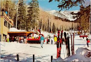 Arizona Snow Bowl Ski Lodge Flagstaff AZ Skiing Unused VintagePostcard F6
