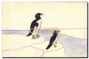 Old Postcard Fancy (drawing hand) Birds Penguins