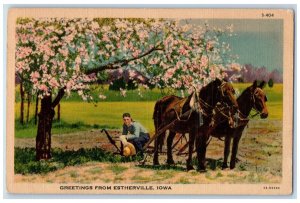 Estherville Iowa Postcard Greetings Horses Sitting Man Trees 1938 Vintage Posted