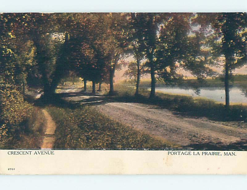 Pre-1907 TOWN VIEW SCENE Portage La Prairie Manitoba MB o1010