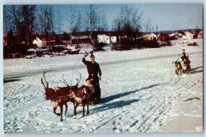 Fairbanks Alaska AK Postcard Reindeer Team And Sled On Chena c1960's Vintage