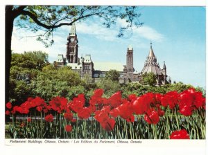 Tulips, Major Hill Park, Parliament Buildings, Ottawa ON, 1976 Postcard, Slogan