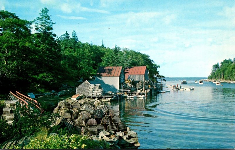 Maine New Harbor Fishing Shanty and Lobster Traps 1969