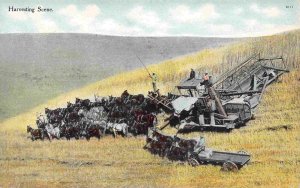 Horse Threshing Harvesting Team Farming 1910c postcard
