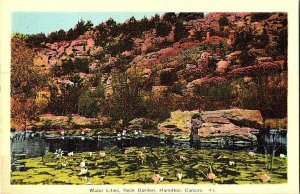 Water Lilies Rock Garden Hamilton Canada Postcard Standard View Card