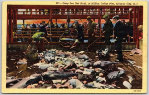 Deep Sea Net Haul Million-Dollar Atlantic City New Jersey NJ Denizens Postcard