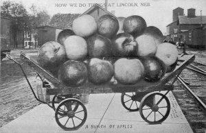 c1910 Lincoln Nebraska apple Farm Exaggeration Johnson Postcard 25-11862