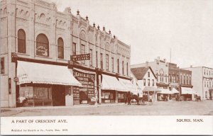 Souris Manitoba Crescent Avenue Unused Sherrin & Co Warwick Postcard H32