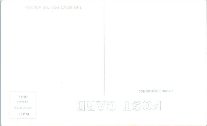 RPPC COLORADO SPRINGS, CO EAGLE'S NEST INCLINE 7 FALLS c1950s  Sanborn Postcard