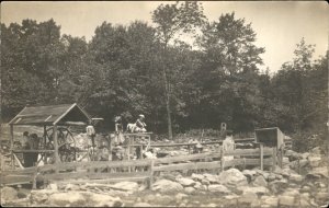 Madison Connecticut Cancel Saw Mill? Scarecrows? Real Photo Vintage Postcard