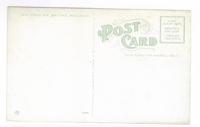 Maid of the Mist at Landing, Niagara Falls, New York, docketed 1919, unused PPC