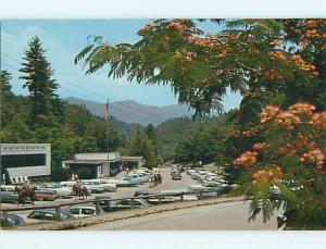 Unused Pre-1980 FONTANA VILLAGE RESORT RESTAURANT Fontana Dam NC t4536@