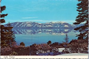 Postcard CA Lake Tahoe Winter at Lake Tahoe