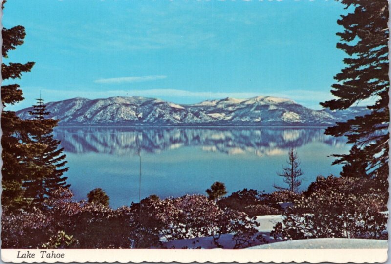 Postcard CA Lake Tahoe Winter at Lake Tahoe