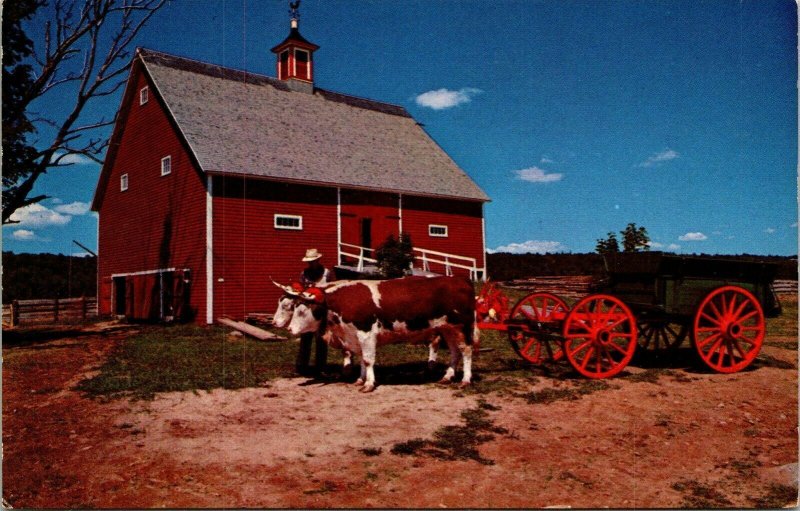 Ross Farm New Ross Nova Scotia Cows Carriage Red Bard VTG Postcard UNP Mirro 