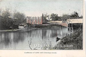 Confluence of Lititz & Conestoga Creeks - Lebanon, Pennsylvania