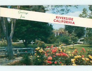 Pre1980 GREETINGS FROM RIVERSIDE - PARK SCENE Riverside CA r8519@