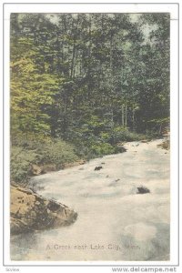 A Creek Near Lake City, Minnesota, PU-1910