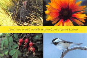 Bear Creek Nature Center, Set Foot In The Foothills  
