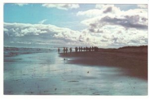 Shoreline, Prince Edward Island National Park, PEI, Vintage Chrome Postcard #2