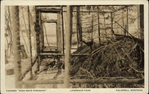 Kalispell Montana MT Chinese Pheasant Bird Enclosure Real Photo Postcard c1920