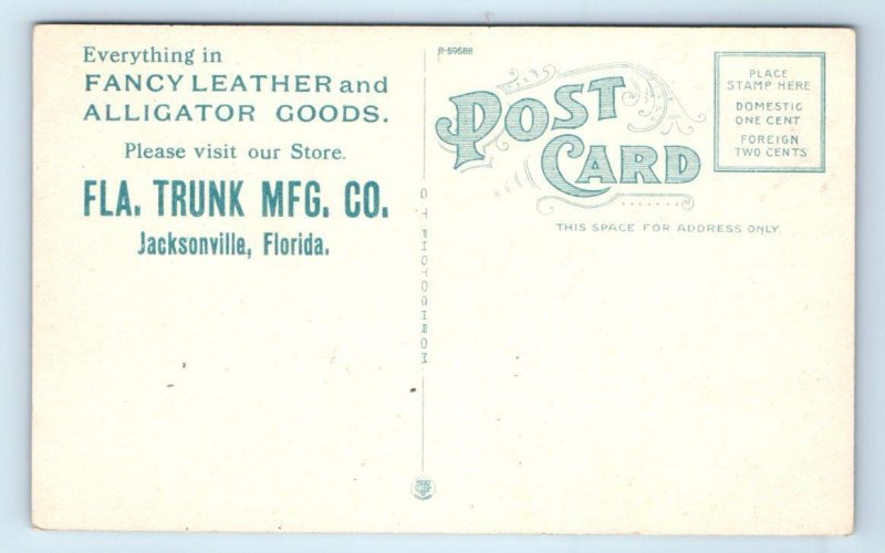 JACKSONVILLE, FL ~ Interior FLORIDA TRUNK MANUFACTURING Retail Store  Postcard