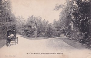 Saigon Jardin Indonesia Old Postcard