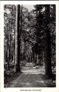 Scenic View, Road Through Woods, Ononagon MI Vintage Postcard M42