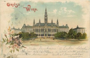 Austria litho gruss aus Wien postkarte