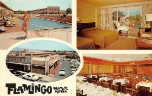 FLAMINGO MOTOR HOTEL Tucson, AZ Roadside Swimming Pool c1960s Vintage Postcard