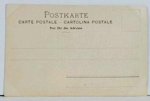 Suisse Bern Bundespalast Palace c1899 Postcard G14