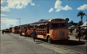 Bridgetown Barbados West Indies Bus Buses Vintage Postcard