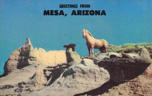 Wild Palomino Stallion Greetings From Mesa Arizona