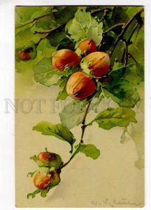 257248 NUTS Hazelnut Tree by C. KLEIN Vintage Dondorf #438 PC