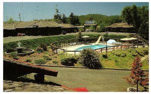 Sherwood Forest Motel Garberville California Redwoods Postcard 1992