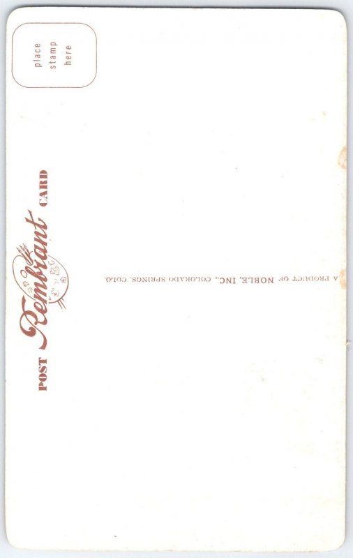 Greetings From Colorful Colorado Native American Figures Noble Rembrant Postcard