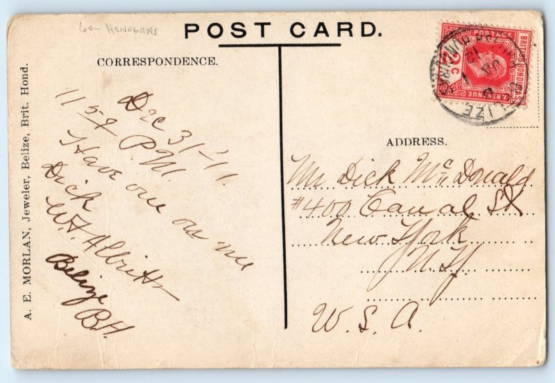 Honduras Postcard Corkscrew Cocoanut Palm and River 1911 Antique Posted