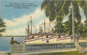 Postcard Florida Ft, Myers Shrimp Fleet Caloosahatchee River Teich 23-11265