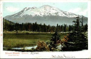 Vtg 1905 Mount Shasta California CA Postcard