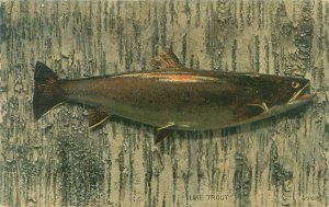 Lake Trout (Fish) 1911 Litho Postcard Used