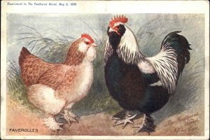 Poultry Breeding Advertising Chickens Faverolles c1900 Info Card NON-POSTCARD