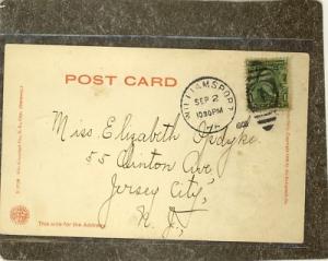 WILLIAMSPORT PA THE BOULEVARD 1908 Postcard