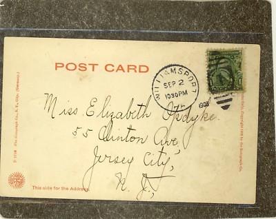 WILLIAMSPORT PA THE BOULEVARD 1908 Postcard