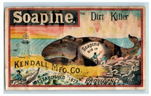 1880's Soapine Dirt Killer Whale Being Washed On Beach Ship P189