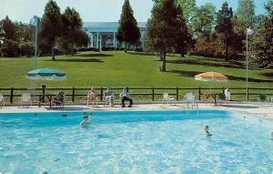 LURAY, VA Virginia  MIMSYLN MOTOR INN  Family~Pool  PAGE COUNTY  Chrome Postcard