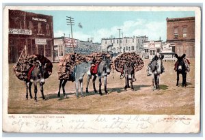 El Paso Texas Postcard Bunch Loaded Sorer Exterior Building 1905 Vintage Antique