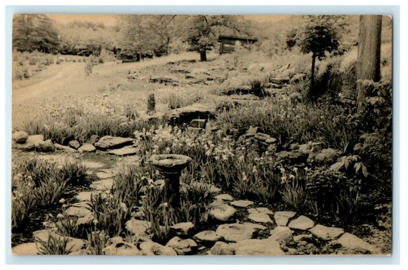 c1910 View Of East Rock Garden Bird Bath Saratoga Springs New York NY Postcard 