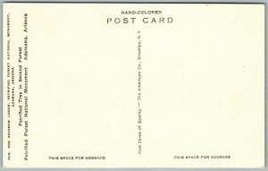 PETRIFIED FOREST ADAMANA AZ HAND COLORED ANTIQUE POSTCARD