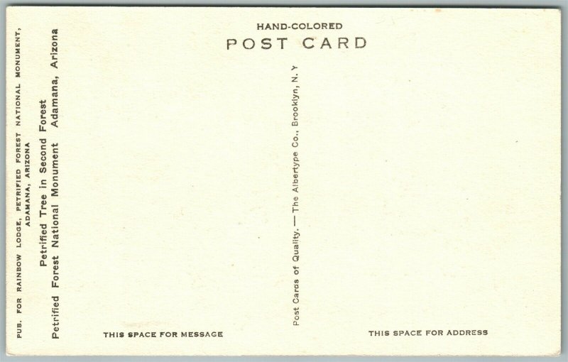 PETRIFIED FOREST ADAMANA AZ HAND COLORED ANTIQUE POSTCARD