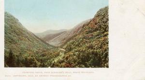 NH - Crawford Notch from Elephant's Head